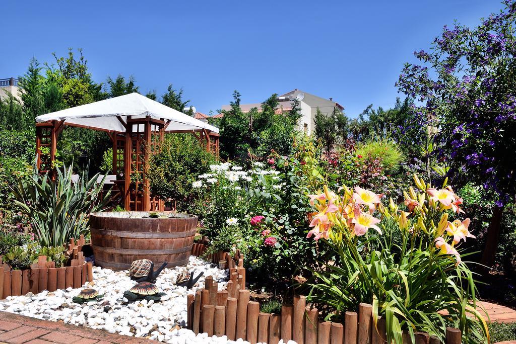 Stamatakis Boutique Studios Platanés Exteriér fotografie